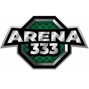 arena333 APK Strategy